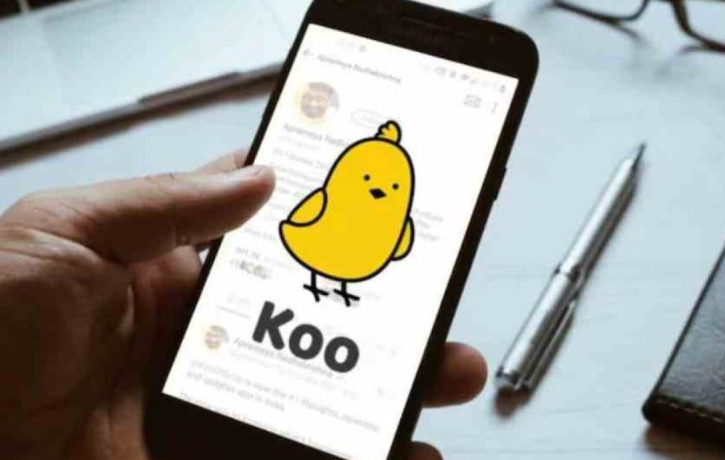 Koo, From Launch to Global Expansion