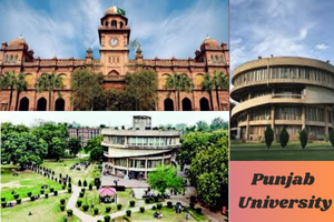 Punjab University