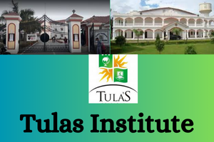 Tulas Institute