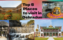 Top 5 Places to visit in Dehradun