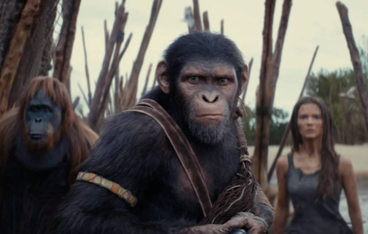 Kingdom of the Planet of the Apes(2024), Overview