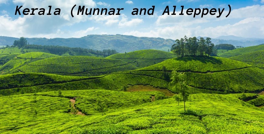 Kerala (Munnar and Alleppey)