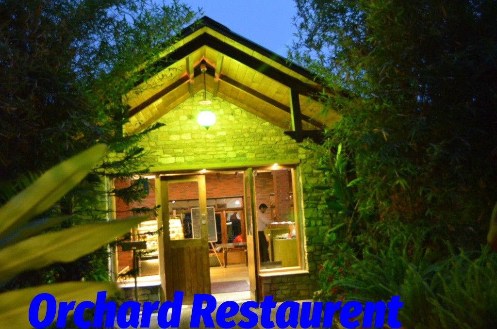 orchard restaurent