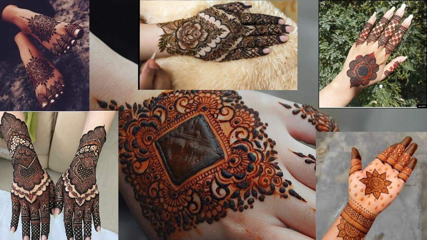 Pakistani Mehndi Designs