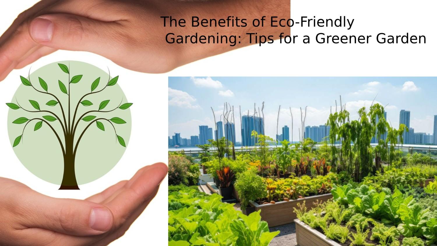 The Benefits of Eco-Friendly Gardening: Tips for a Greener Garden