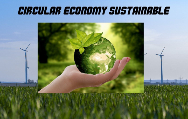 Circular Economy Sustainable Growth