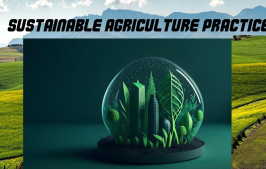 Sustainable Agriculture Practices 2024