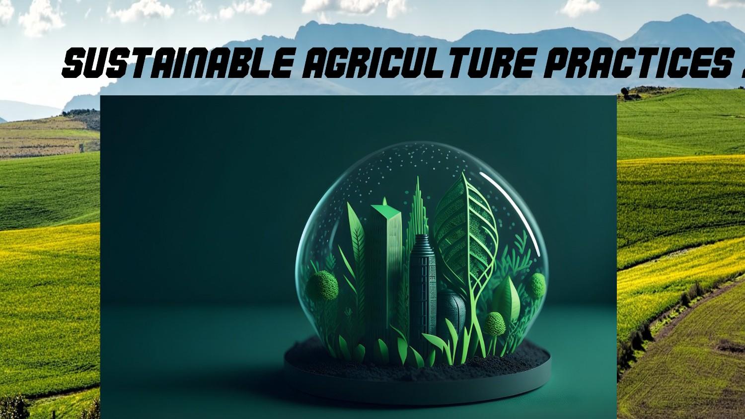 Sustainable Agriculture Practices 2024