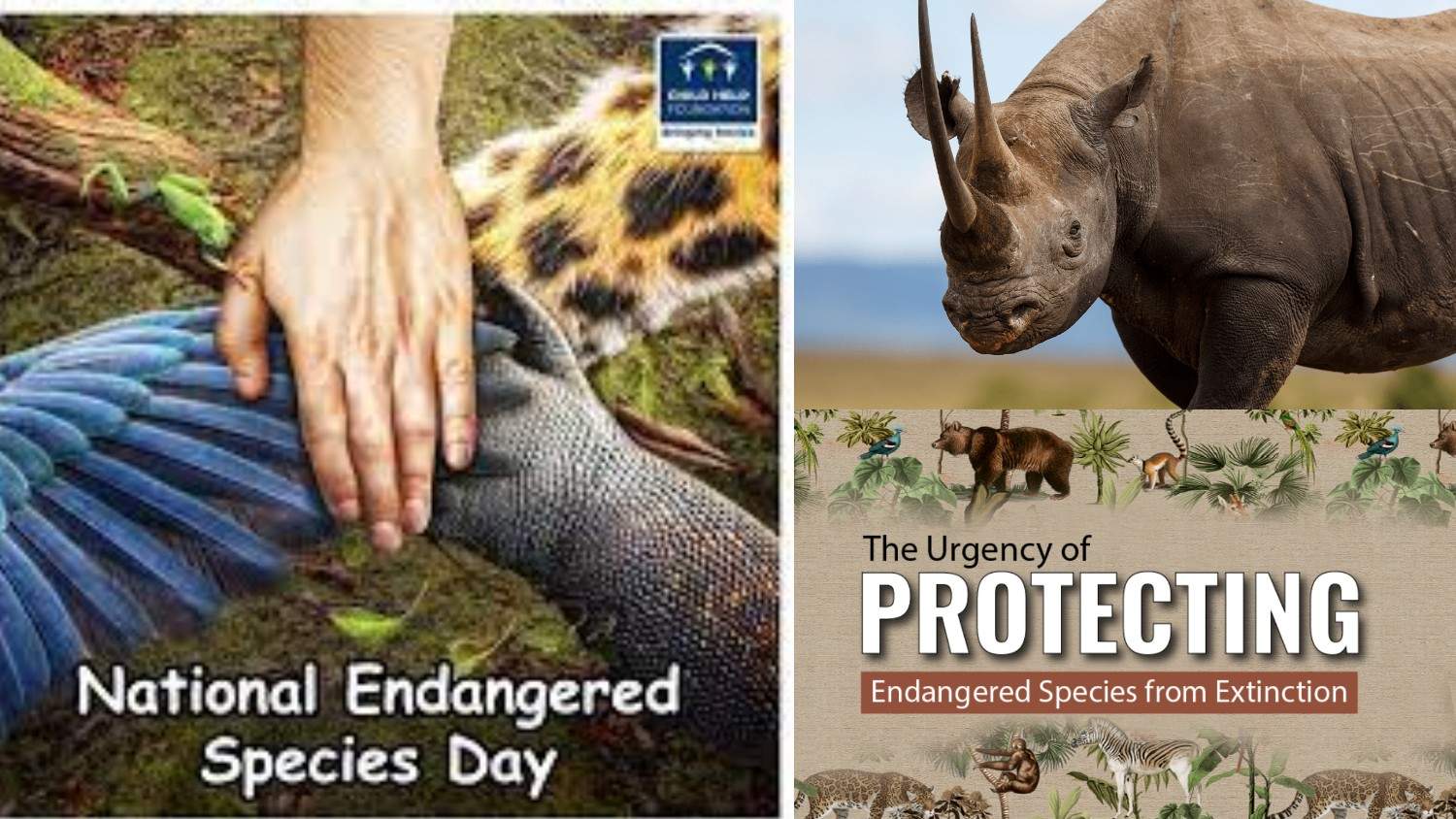 Protecting Endangered Species: A Critical Obligation of Our Future