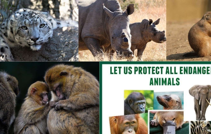 Protecting Endangered Species